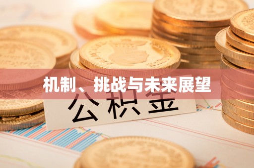 清浦机制、挑战与未来展望